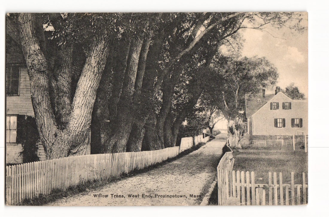 The Advocate Postcard: Willow Trees, West End, Provincetown, Mass., unpaved street, houses, c.1910s: Please view photos for further description and condition considerations. Please know the scans may be darker or lighter than the actual card's true appearance. FREE SHIPPING POLICY: (Domestic USA Only