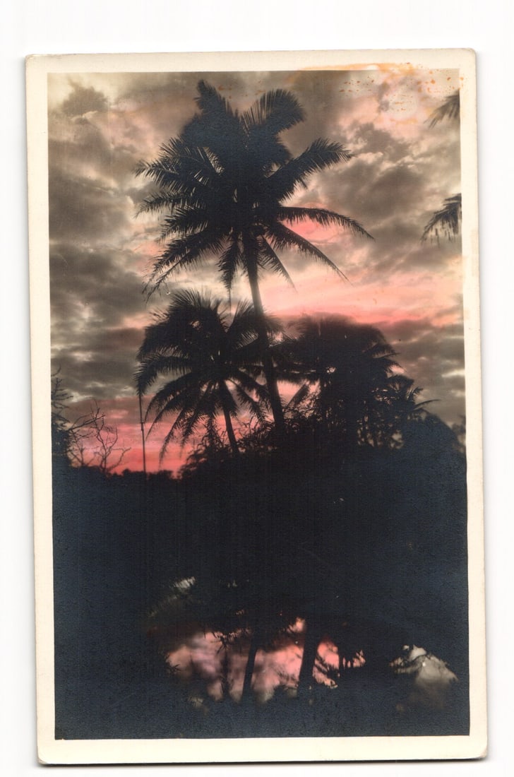 RPPC c.1930 Tropical Palm Trees Silhouetted, Dramatic Orange Sunset Sky, Water Reflection, AZO Back (1 of 2)