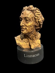 Bust of Carl Linnaeus by Robert Berks (NY, 1922-2011) after Chicago Botanic Garden Monument