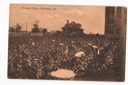 c. 1910 Postcard of African American Workers in Cotton Field by Buildings, Columbus, Georgia