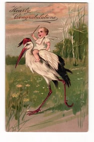 1909 German Litho Postcard, Embossed Birth Announcement, Baby on Stork, Scranton PA Postmark