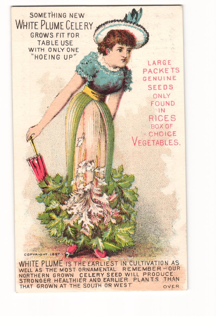 1887 Rice's Seeds chromolithograph trade card for White Plume Celery, woman in celery dress. (1 of 2)