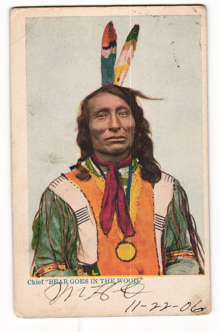 1906 Color Postcard Portrait of Native American Chief 'Bear Goes In The Wood' in Tribal Regalia.: Please view photos for further description and condition considerations. Please know the scans may be darker or lighter than the actual card's true appearance. ACME Auctions offers FREE DOMESTIC SHIPP