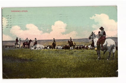 Postcard depicting cowboys on horseback throwing a steer in a Western ranching scene, early 1910s.