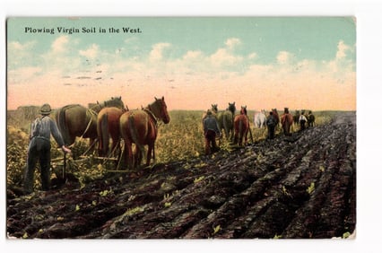 Color postcard of farmers with teams of horses using plows on virgin soil in the American West,