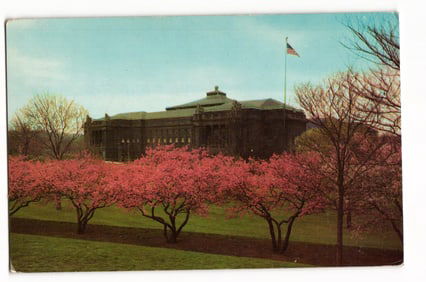 Postcard showing the Carnegie Institute and Library of Pittsburgh, PA with pink blossoming trees, c.