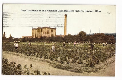 Postcard showing the Boys' Gardens at the National Cash Register factory in Dayton, Ohio. C. 1912