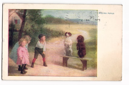 Color lithograph postcard of children watching two spaniel dogs on a bench, titled 'Willing Pupils'