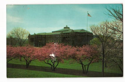 Postcard of Pittsburgh, Pennsylvania's Carnegie Institute and Library with blooming trees, circa