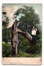 Postcard of a romantic Edwardian couple embracing on a broken tree branch in a wooded park setting