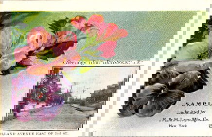 F. & H. Levy Mfg. Co. sample postcard showing Holland Avenue East of 2nd St. in Braddock, PA.