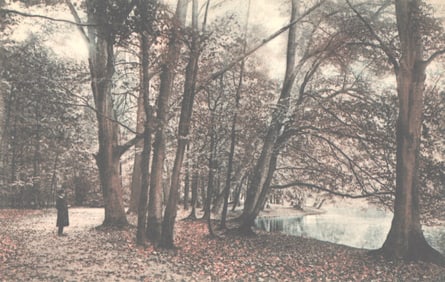 Postcard showing a lone figure in the Haagsche Bosch forest by the water, The Hague, Netherlands.