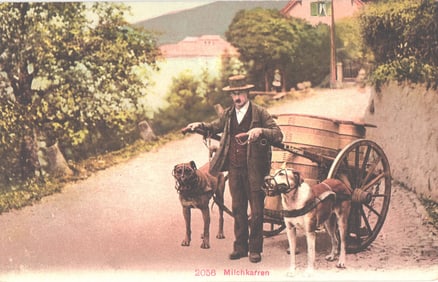 Postcard showing a milkman with his two dogs pulling a large wooden milk cart on a rural road, c.