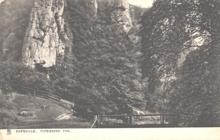 Raphael Tuck & Sons postcard showing the Pickering Tor rock formation in the scenic Dovedale valley.