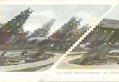 Private Mailing Card postcard showing the Lily Pond at Shaw's Garden, St. Louis, Missouri. Circa