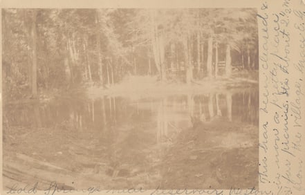RPPC Real Photo Postcard of Cold Springs near the reservoir, a tranquil wooded scene in Weston, CT
