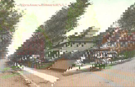 Postcard showing a tree-lined Briggs Avenue in Richmond Hill, Long Island, New York early 1900s.