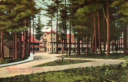 Postcard view of the Pine Grove Springs Hotel surrounded by trees at Spofford Lake, Chesterfield,