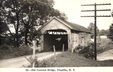 RPPC Real Photo Postcard showing the Old Covered Bridge and its dirt road approach in Unadilla, NY.