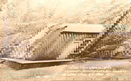 RPPC Real Photo Postcard view of the First Pony Express Office at Santa Cruz Big Trees Park, Calif.