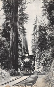 Postcard showing a steam locomotive train at Big Tree Station, Santa Cruz, California, among giant
