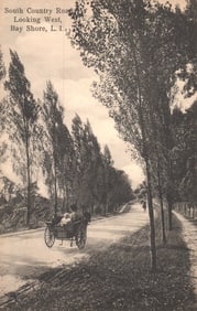 Postcard showing a horse and buggy on the tree-lined South Country Road in Bay Shore, Long Island.