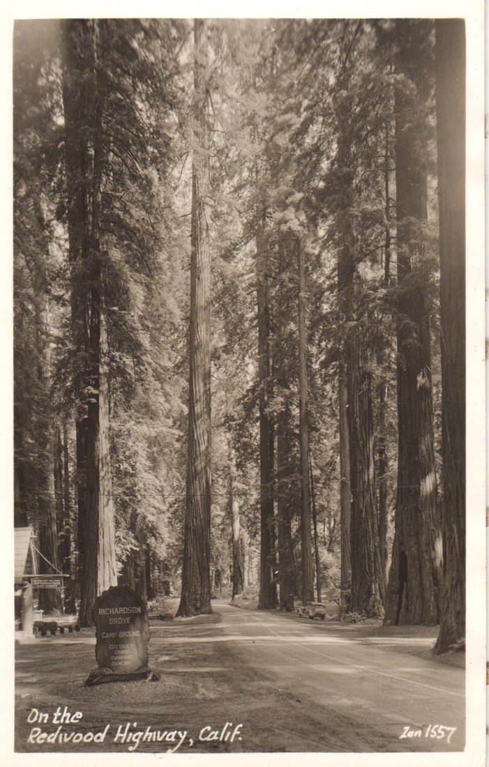 RPPC Real Photo Postcard of Richardson Grove Camp Ground on the Redwood Highway in California, c.: Please view photos for further description and condition considerations. Please know the scans may be darker or lighter than the actual item's true appearance. ACME Auctions offers FREE DOMESTIC SHIPP
