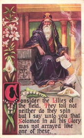 Postcard showing King Solomon with the biblical verse "Consider the Lilies of the field." c. 1908.