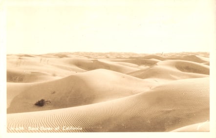 RPPC Real Photo Postcard of the vast Sand Dunes of California, a beautiful desert landscape scene.