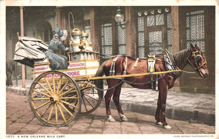 Detroit Publishing Co. Phostint postcard showing a woman on a horse-drawn milk cart in New Orleans.