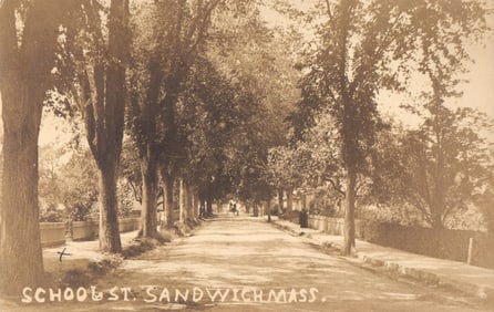 RPPC Real Photo Postcard of a tree-lined view down School Street in Sandwich, Massachusetts c. 1908