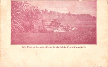 Postcard showing the Lily Pond on the grounds of John Lewis Childs in Floral Park, New York c. 1907