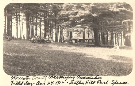 RPPC Real Photo Postcard of the Worcester County Beekeepers Field Day, Luther Hill Park, Spencer.