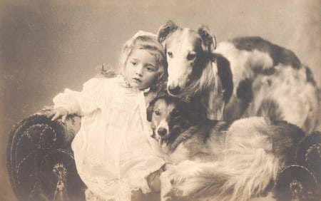Rotograph Co. postcard of a young girl in a lace dress with Borzoi and Collie dogs, circa 1905.
