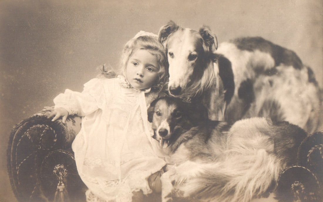 Rotograph Co. postcard of a young girl in a lace dress with Borzoi and Collie dogs, circa 1905.: Please view photos for further description and condition considerations. Please know the scans may be darker or lighter than the actual item's true appearance. ACME Auctions offers FREE DOMESTIC SHIPP