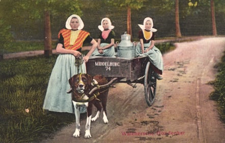 Postcard of a Walcheren dog cart with three women in traditional Dutch costumes, Middelburg,