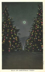 Postcard view of the Mile of Christmas Trees holiday lights in Altadena/Pasadena, California c.