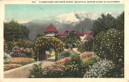 Postcard featuring lush flower beds and snow-capped mountains, a scenic winter view in Glendora,