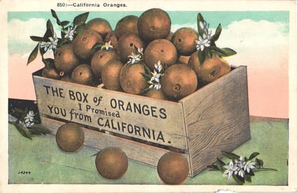 Postcard depicting a wooden crate of fresh oranges and blossoms from California, circa 1910s.