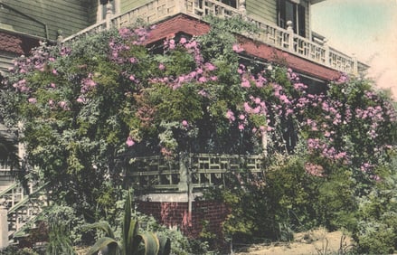 Handcolored postcard of a rose-covered porch on a California home in winter, published by M. Rieder.