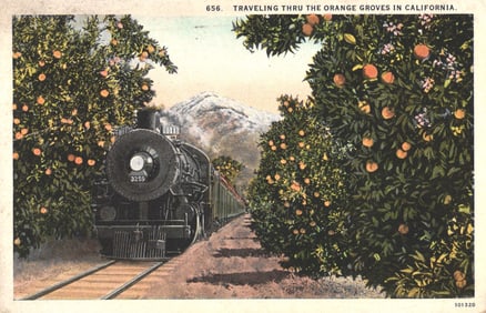 Postcard of steam engine 3259 traveling through lush orange groves in sunny California, c. 1920s