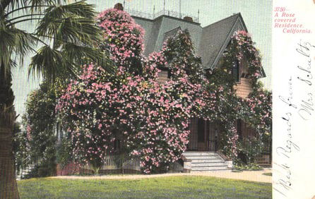 Postcard of a beautiful rose-covered Victorian residence with a prominent palm tree, California c.