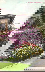 Postcard showing a Craftsman style 'Winter Residence' with blooming bougainvillea, California c.