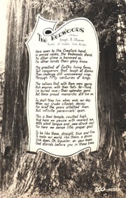 RPPC of poem 'The Redwoods' by Joseph B. Strauss mounted on a giant redwood tree, California.