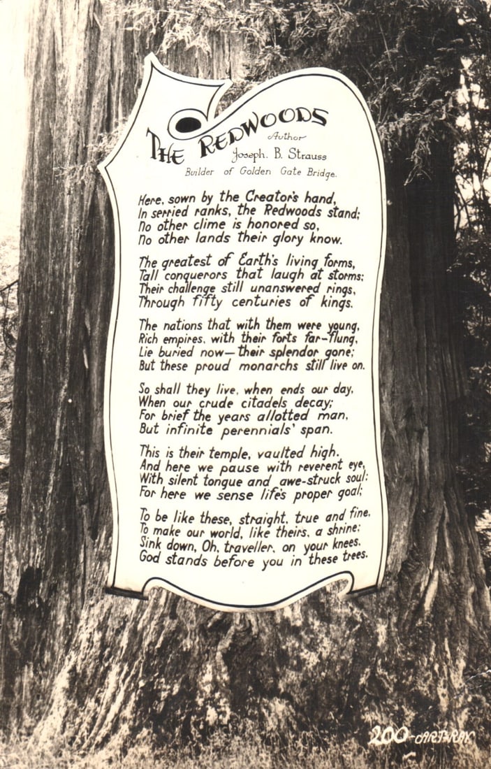 RPPC of poem 'The Redwoods' by Joseph B. Strauss mounted on a giant redwood tree, California.: You are bidding on an original postcard and not a reprint. Please view photos for further description and condition considerations. Please know the scans may be darker or lighter than the actual item'