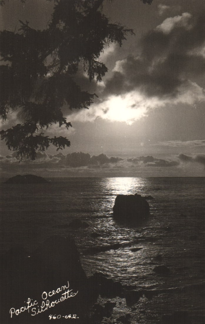 RPPC Pacific Ocean Silhouette, moonrise over the water from Crescent City, California postcard: You are bidding on an original postcard and not a reprint. Please view photos for further description and condition considerations. Please know the scans may be darker or lighter than the actual item'