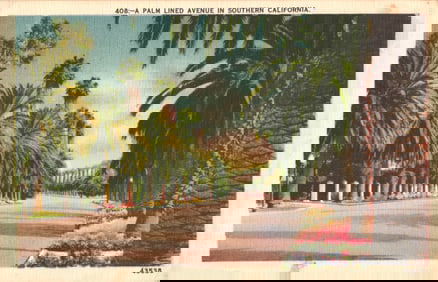 Linen postcard showing a beautiful palm-lined avenue street scene in sunny Southern California,