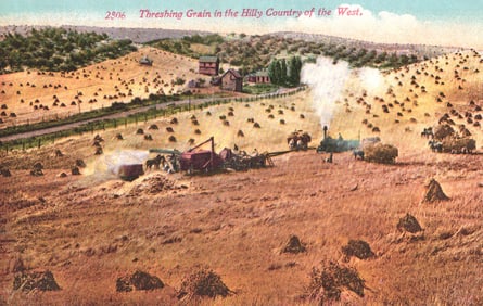 Postcard showing an early 1900s steam tractor and crew threshing grain in the hilly West,