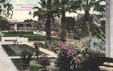 Postcard of a lush private residence garden with palm trees and flowers in Southern California, c.