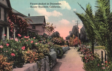 Postcard showing a flower-decked residential walkway in December, sunny Southern California. c.